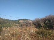 Plakalona Zum Verkauf auf Kreta, Plakalona: Grundstück mit Meerblick - und Olivenbäumen drumherum Grundstück kaufen